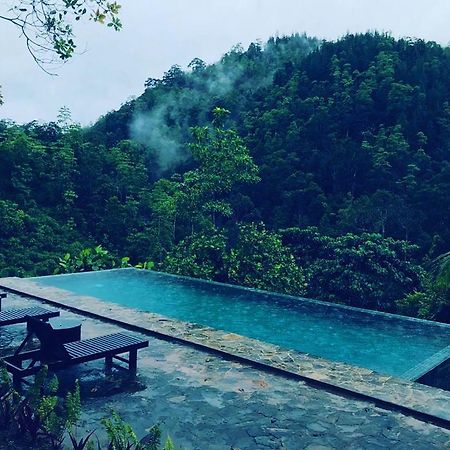 Jansen'S Bungalow Sinharaja Rainforest Retreat Kudawe Zewnętrze zdjęcie