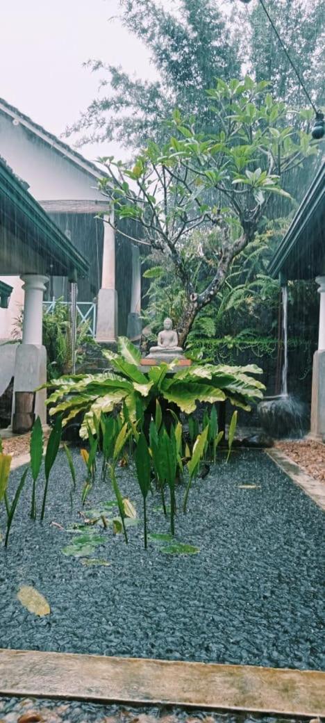 Jansen'S Bungalow Sinharaja Rainforest Retreat Kudawe Zewnętrze zdjęcie
